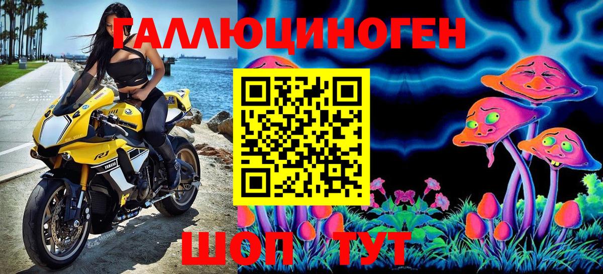 Псилоцибиновые грибы Cubensis Берёзовский