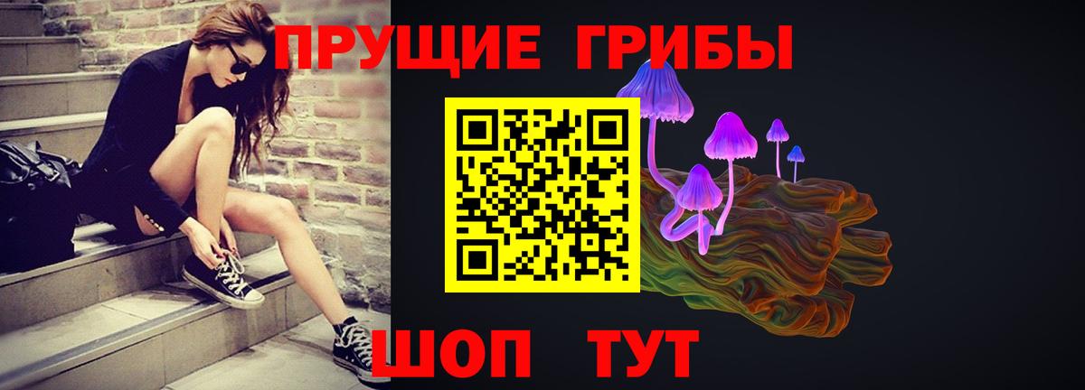 Псилоцибиновые грибы Psilocybine cubensis  Вход с VPN  Берёзовский 